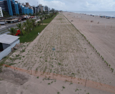 Revitalização da Orla de Matinhos vai ampliar em quase 5 vezes a área com restinga nativa