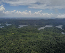 Estado lança cartilha de apoio aos municípios para ampliar conservação ambiental