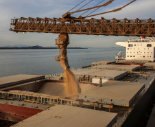  Porto de Paranaguá espera carregar sete milhões de toneladas de grãos e farelos no 1º trimestre do ano