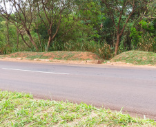 Reforma de pontes Noroeste e Centro-Oeste