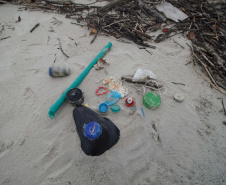 Mutirão recolhe quase uma tonelada de lixo marinho da Ilha do Mel