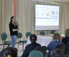 Programa de formação de lideranças femininas abrange 13 instituições de pesquisa do Paraná