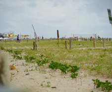 Revitalização da Orla de Matinhos vai ampliar em quase 5 vezes a área com restinga nativa