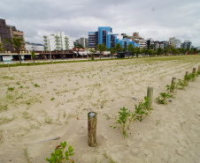 Revitalização da Orla de Matinhos vai ampliar em quase 5 vezes a área com restinga nativa