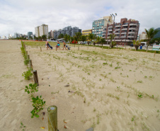 Revitalização da Orla de Matinhos vai ampliar em quase 5 vezes a área com restinga nativa