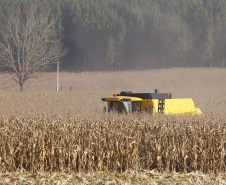 pesar do clima, agropecuária do Paraná manteve alto rendimento em 2022