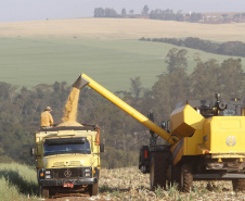 pesar do clima, agropecuária do Paraná manteve alto rendimento em 2022