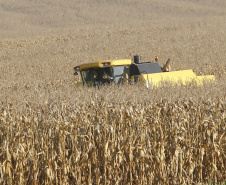 pesar do clima, agropecuária do Paraná manteve alto rendimento em 2022