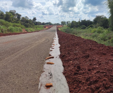 Viaduto da BR-277 ganha forma na nova Perimetral Leste em Foz do Iguaçu [DM] 