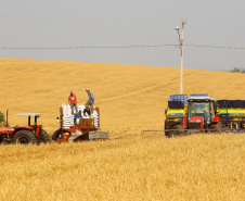 Boletim destaca início do plantio da 2ª safra de milho e aumento de 370% nas exportações do produto