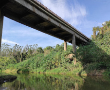 Empresas disputam a reforma de pontes e um viaduto no Norte Pioneiro e Campos Gerais 