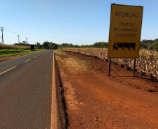 Estado garante investimento para construção de ciclovia em Alvorada do Sul 