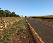 Estado garante investimento para construção de ciclovia em Alvorada do Sul 