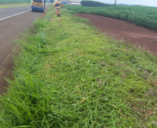 Rodovia entre Maringá e Peabiru recebe obras de conservação no pavimento e pintura