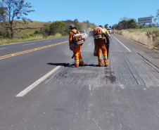 Rodovia estadual de Mandaguari recebe serviços de conservação, pintura e roçada