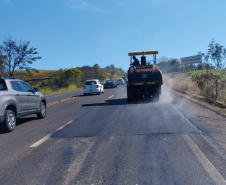 Rodovia estadual de Mandaguari recebe serviços de conservação, pintura e roçada