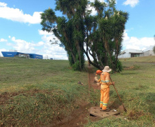 Rodovia estadual de Mandaguari recebe serviços de conservação, pintura e roçada