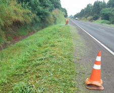 Rodovia estadual de Mandaguari recebe serviços de conservação, pintura e roçada