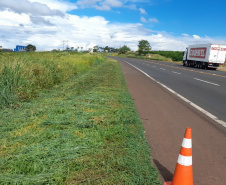 Rodovia estadual de Mandaguari recebe serviços de conservação, pintura e roçada