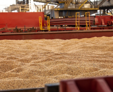  Porto de Paranaguá espera carregar sete milhões de toneladas de grãos e farelos no 1º trimestre do ano