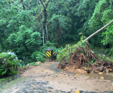 Novo deslizamento de terra bloqueia Estrada da Graciosa nesta quarta