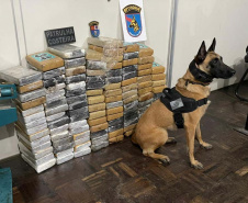 Polícia Militar apreende mais de 140 quilos de cocaína em Paranaguá