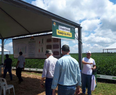 Estado participa de evento da Cocamar