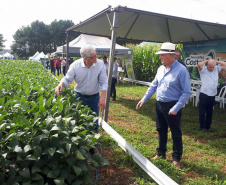  Produshow 2023 reúne tecnologia e novas cultivares em Pitanga