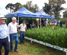  Produshow 2023 reúne tecnologia e novas cultivares em Pitanga