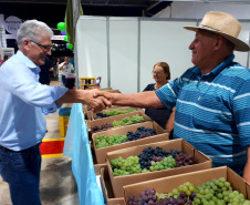 Com participação do Estado, Mariópolis promove a Festa da Uva