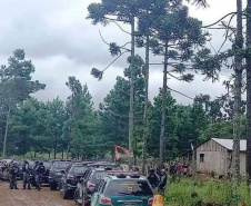 Megaoperação contra desmatamento resulta na prisão de dois homens em General Carneiro