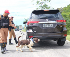 Cães da PRE