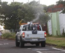 chikungunya