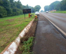 Progresso da duplicação da Rodovia das Cataratas registra salto no início do ano 