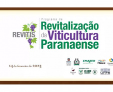 Programa de apoio à produção de uvas e derivados no Paraná reforça ações em 2023