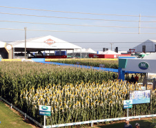 IDR-Paraná supera 200 mil atendimentos no Show Rural e fica ainda mais perto do produtor