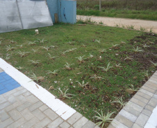 Conselho Tutelar Campo Magro