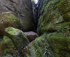 Parque Estadual do Guartelá