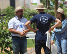 IDR-Paraná supera 200 mil atendimentos no Show Rural e fica ainda mais perto do produtor