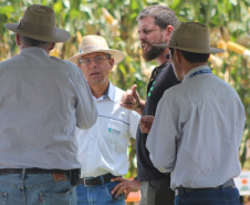IDR-Paraná supera 200 mil atendimentos no Show Rural e fica ainda mais perto do produtor