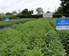Com apoio do IDR, Smart Farm de Londrina reuniu inovações digitais do agronegócio