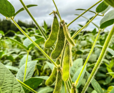 PARANÁ AGRO