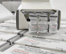 Sesa inicia distribuição de vacina bivalente contra a Covid-19 para início da campanha 2023 