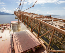 Navio chega para carregar quase 108 mil toneladas de farelo de soja no Porto de Paranaguá
