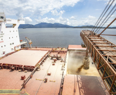 Navio chega para carregar quase 108 mil toneladas de farelo de soja no Porto de Paranaguá