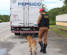 Cães da PRE