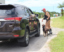 Cães da PRE