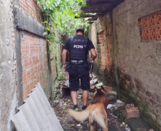 Operação das polícias Civil e Militar em Paranaguá mira grupo ligado a homicídios e tráfico