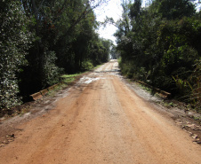 Licitação para reforma de 13 pontes no Oeste avança para fases finais 