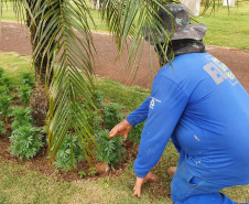 Pessoas privadas de liberdade atuam na preparação do 35° Show Rural de Cascavel